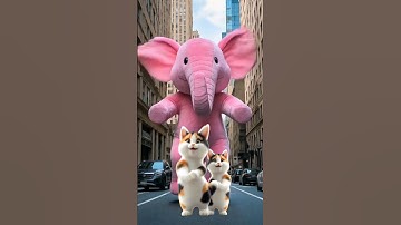 Cat Dance ❤️| Cute kitten #ai #cat #lovecats #cats#catvideos #funny #kittens #catlover 28022025A