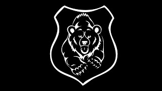 видео охранное предприятие