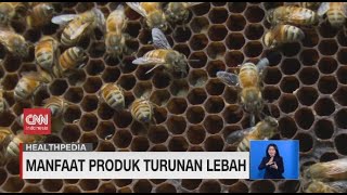 Beda Serta Manfaat Bee Polen, Propolis, dan Madu