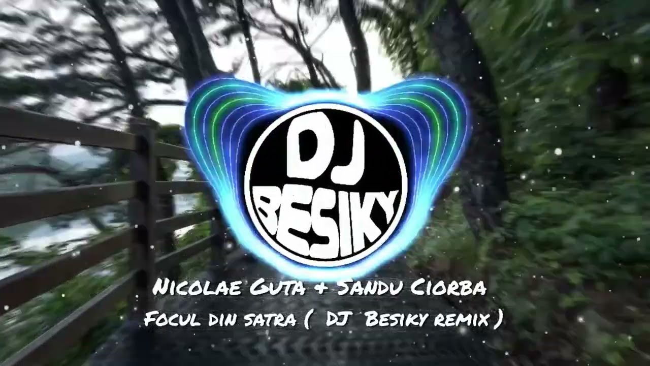 Nicolae Guta & Sandu Ciorba  - Focul din satra   ( #djbesiky  remix )