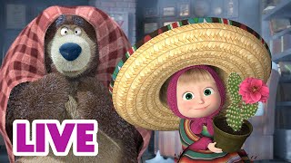 🔴 LIVE! 瑪莎與熊 - 🧭 從北到南 🗺️ | Masha and The Bear