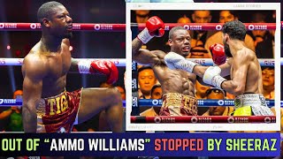 Hamzah Sheeraz STOPS Ammo Williams! Hearn Fighters EXPOSED By Warren Fighters! Alimkhanuly NEXT?