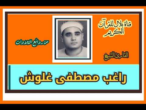 الشيخ راغب مصطفى غلوش وما تيسر من سورة المائدة