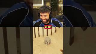 I Almost Got Fooled...