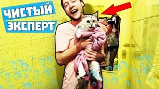 КУПАЕМ ЭКСПЕРТА ЧЕЛЛЕНДЖ / КАК ВЫГЛЯДИТ МОКРЫЙ ЭКСПЕРТ / МИЛЫЙ ПРАНК НАД КОШКОЙ / АНАНАСТЕНЬКА КУПАЕМ ЭКСПЕРТА ЧЕЛЛЕНДЖ / КАК ВЫГЛЯДИТ МОКРЫЙ ЭКСПЕРТ / МИЛЫЙ ПРАНК НАД КОШКОЙ / АНАНАСТЕНЬКА