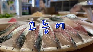 [밥상사전] 여름이 오기 전에 Before summer comes (🐟고등어🐟 초밥 만들기)