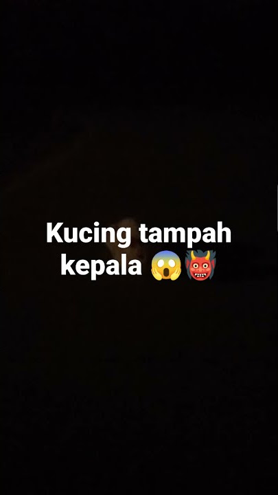 kucing tampah kepalah,,kucing jelmaan jin😱😱👹👹