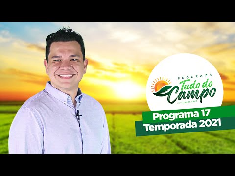 Programa Tudo do