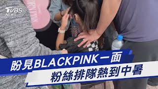 盼見BLACKPINK一面 粉絲排隊熱到中暑｜TVBS新聞 @TVBSNEWS01