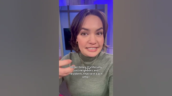 How do ICE observers organize?