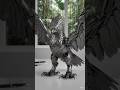 Capsule to Mechanical Harpy Eagle Transformation 🦅⚙️ | Hyper-Realistic AI ASMR#AI #HarpyEagle