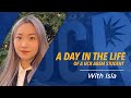 "A Day In The Life" with Isla, A. Gary Anderson Graduate School of Management MBA student at UCR