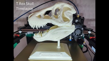 Mercury One.1 Zero G Timelapse T RexSkull Base