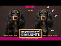 Portrait Photography Lighting Quiz