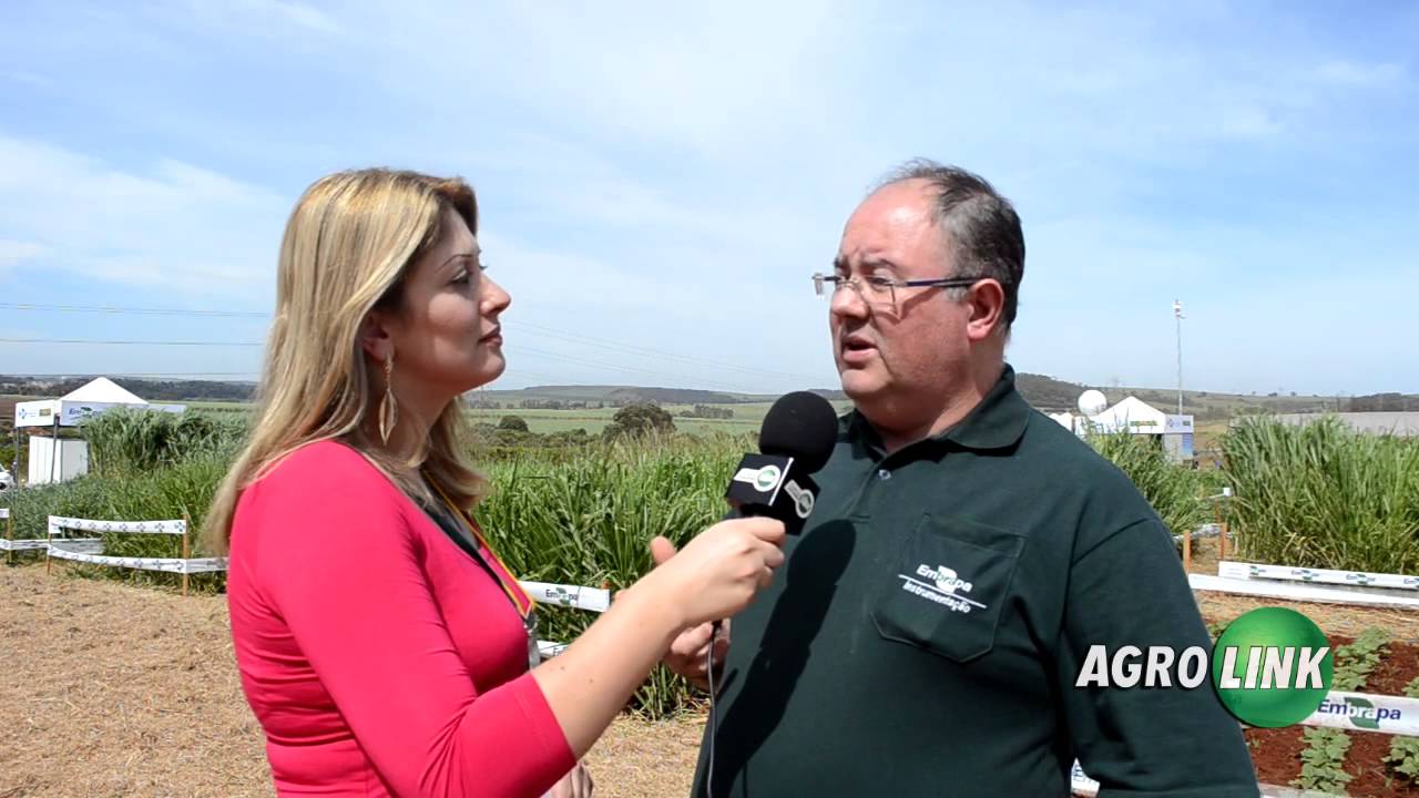 Agrishow 2014 - Embrapa - YouTube Portal Agrolink