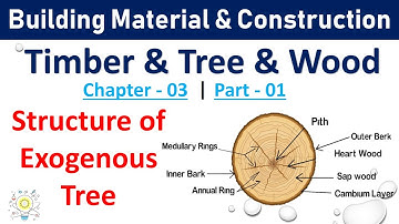Structure of Tree | Timber, Trees & wood | Part - 1 | Building Material & Construction