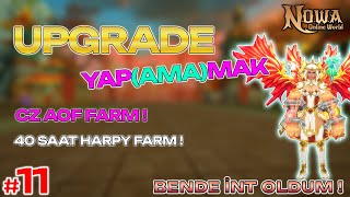MÜKEMMEL KAR! 💸 Upgrade Faciası mı? | Harpy &amp; CZ AOF Farm | Nowa Online World