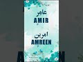 Amir  amreen  name meaning status  urdu e hind official