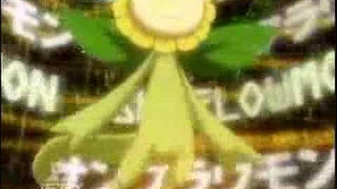 Lalamon Warp Digivolves to Lilamon