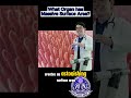Tennis Court in Your Gut: Unlocking the Secret Behind the Small Intestine's Massive Surface Area