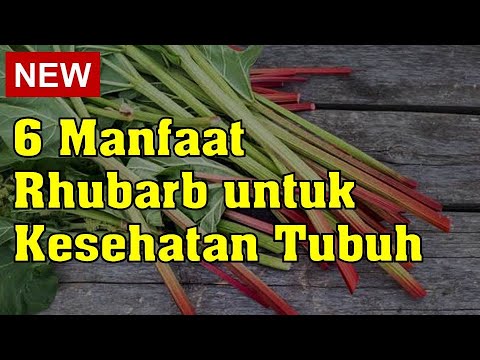 6 Manfaat Rhubarb untuk Kesehatan Tubuh