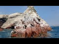 Islas Ballestas 2021(1)