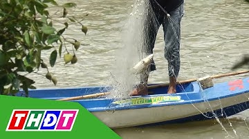 Săn cá vồ chó thu tiền triệu ở Cà Mau | THDT