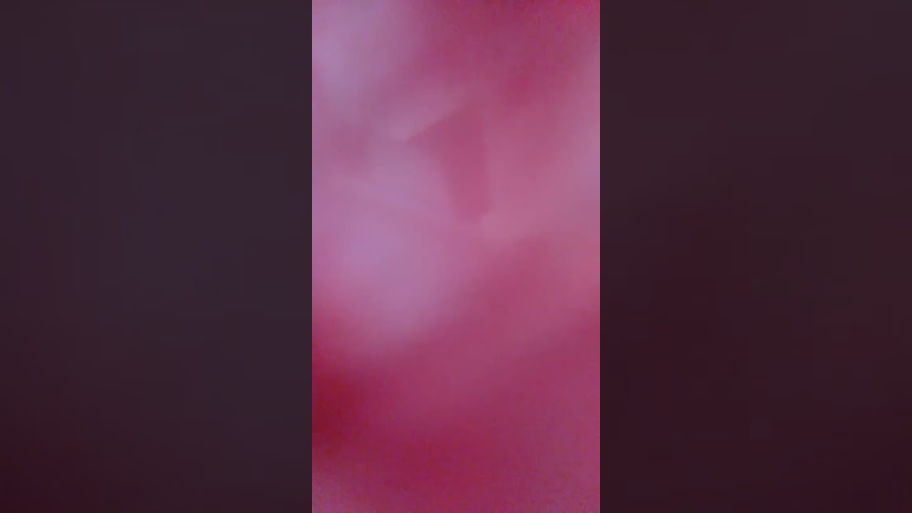 Highlights vlogs December 27,2025 