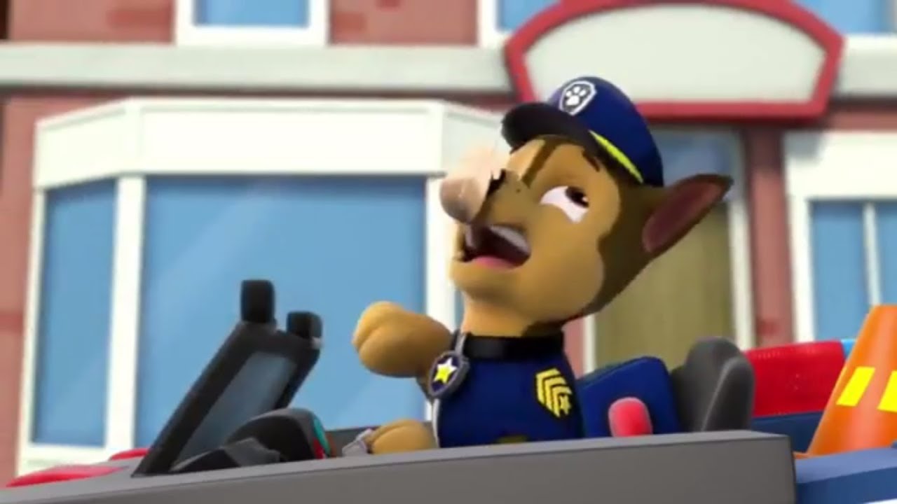 PAW Patrol Pup, Pup, Goose/Pup, Pup and Away Part 3 - PAW Patrol FULL