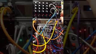 2hp Play - Eurorack Module on ModularGrid