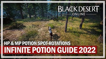 Black Desert Online - 2022 HP & MP Infinite Potions Grind Rotations Guide