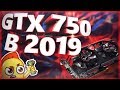 Выживаем на GTX 750 в 2019