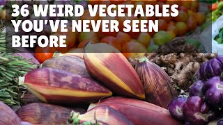36 Weird Vegetables You’ve Never Seen Before