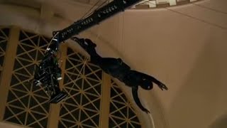 Michelle Ryan Drops In At Cardiffs National Museum Doctor Who Confidential Bbc Studios