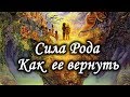 Сила Рода. Что это и как ее вернуть. Лаборатория Гипноза