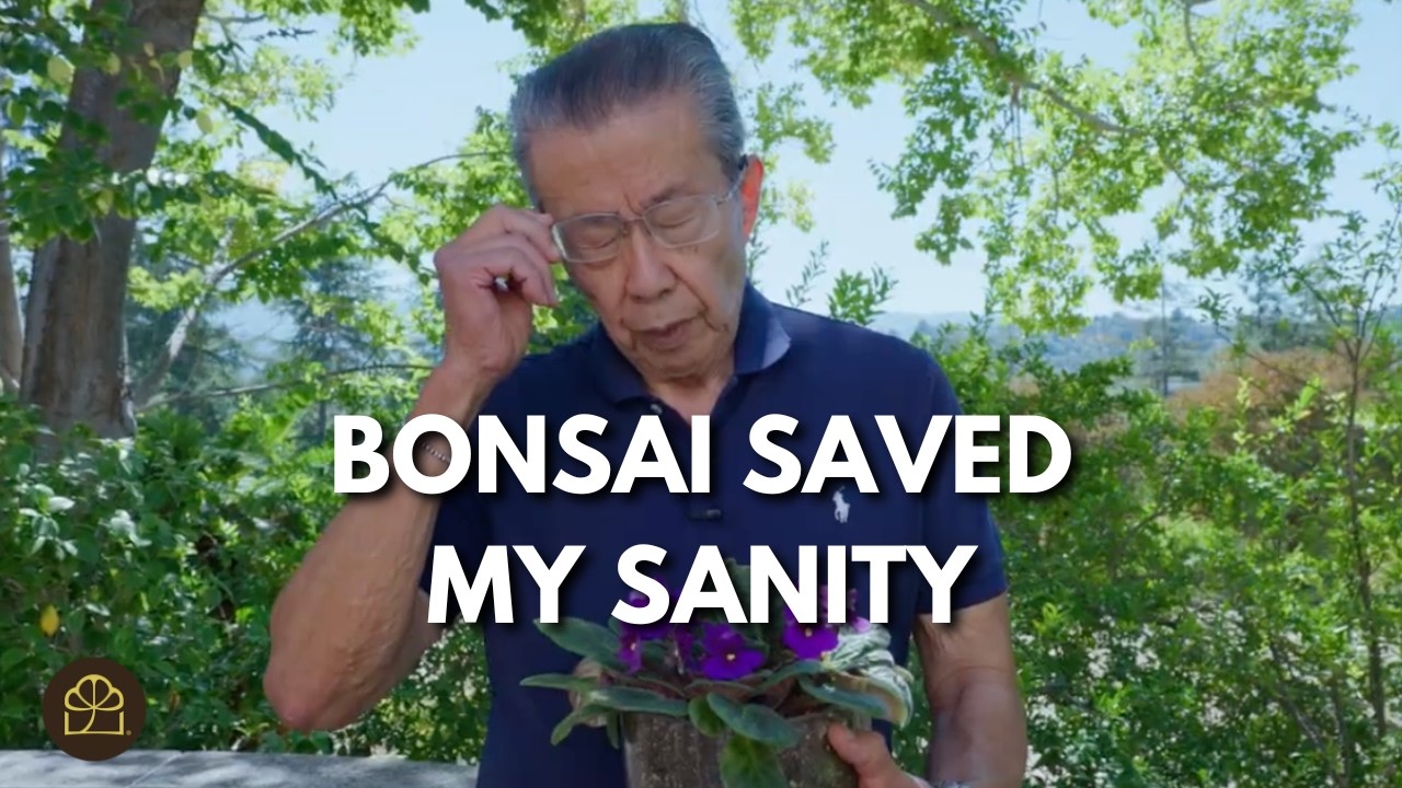 Bonsai Saved My Sanity