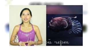 САМЫЙ ТАИНСТВЕННЫЙ КАНАЛ (Webdriver Torso)