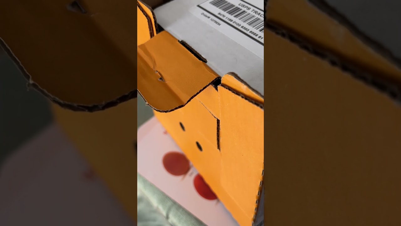 Unboxing Day-Old Chicks: Excitement & Nerves!