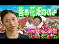 三浦瑠璃が論破「日本の誇る自衛隊は素晴らしい」【三浦瑠璃2016】