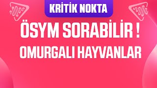 Ösym Sorabi̇li̇r Omurgali Hayvanlarin Genel Özelli̇kleri̇