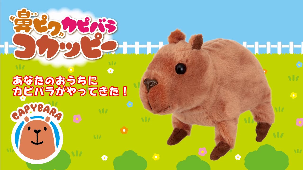 動く！ カピバラさん とことこあるくよぬいぐるみ ＆ しとしと雨の日