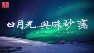 [一小時系列] 白月光與硃砂痣 (鋼琴版 X 一小時版本) | White Moonlight and Cinnabar Nevus (Piano Cover X 1 Hour Loop) #抖音