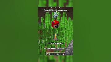 How I Got Alchemy 50 | Hypixel Skyblock