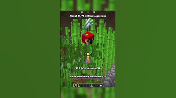 How I Got Alchemy 50 | Hypixel Skyblock