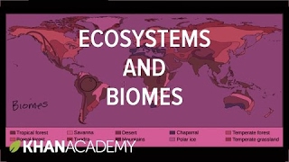 Ecosystems and biomes  | Ecology | Khan Academy