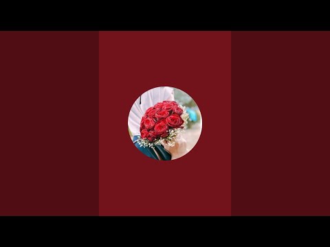 بدأت قناة ام نور السورية مساالخير انا بحلب
