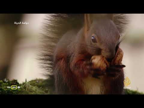 وثائقي دو امة الحياة