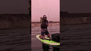 Angry Underwater Calico  #fishing #ocean #bassfishing #fish #calico #outdoors #epic