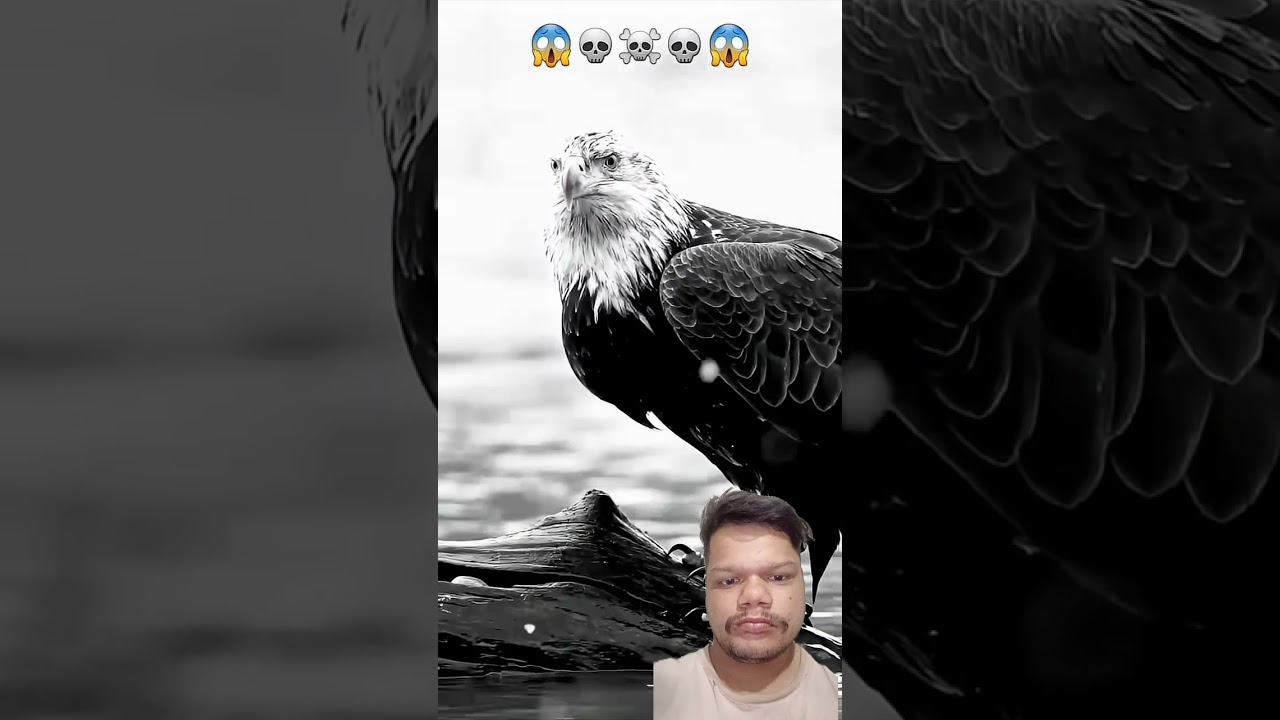 Attitude dialogue 😱☠️😱💀📈🥶