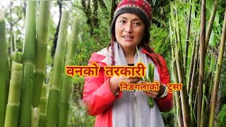 Part 2 clip (निङगलाकाे टुसा) वनकाे तरकारी|Narad Pokhari VLOG | 6 DAys Tour| Meera gurung |Gorkha